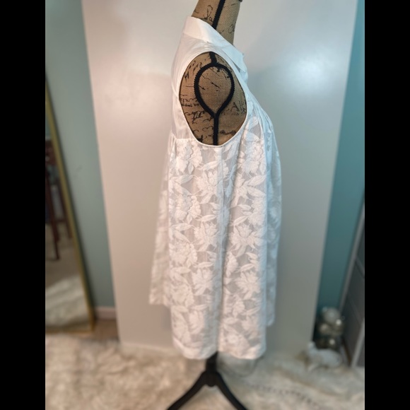 #86 Anthropologie HD IN PARIS Lace Shift Dress size S - Picture 5 of 11